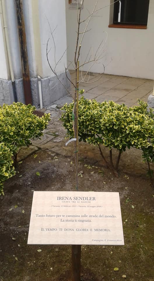 Un Melograno in Memoria di Irena Sendler (Museo Palatucci in Campagna)