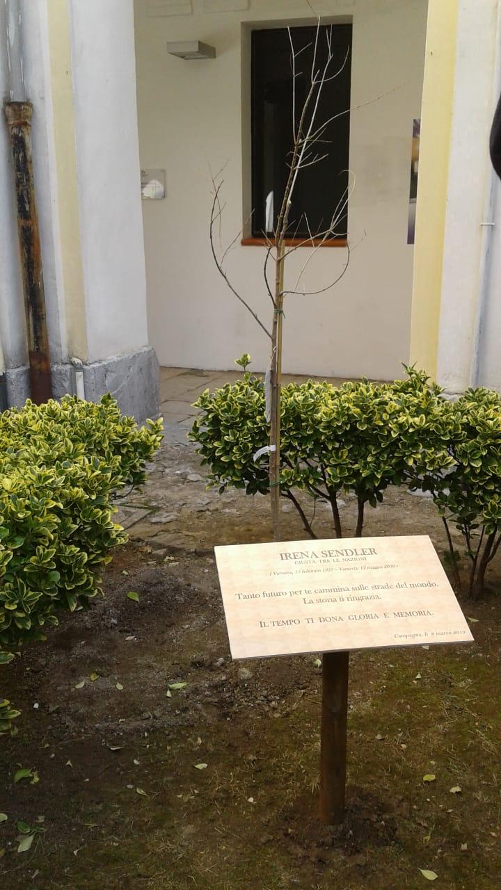 Un albero per Irena Sendler (Campagna)