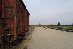 Birkenau